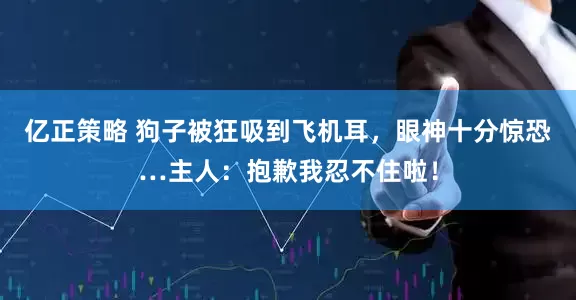 亿正策略 狗子被狂吸到飞机耳，眼神十分惊恐…主人：抱歉我忍不住啦！